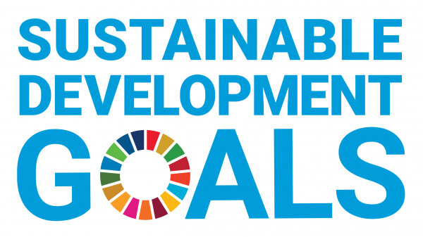 Auf dem Schaubild ist in großen blauen Buchstaben "Sustainable development goals" geschrieben