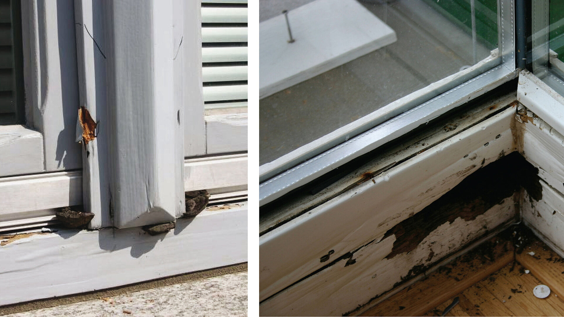 Zwei Fotos zeigen typische Holzzerstörung am Fenster