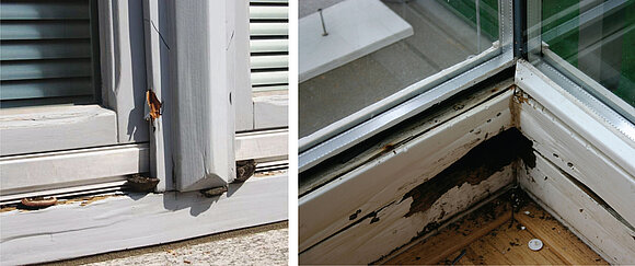 Zwei Fotos zeigen typische Holzzerstörung am Fenster