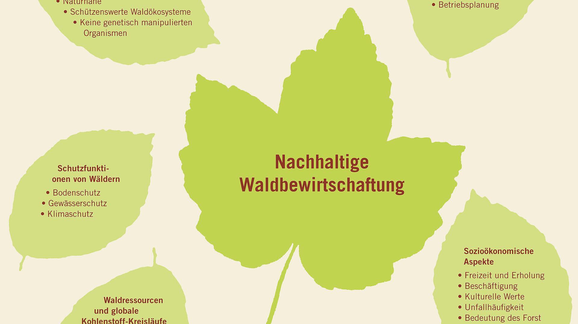 Das Schaubild zeigt verschiedene Blätter, die die nachhaltige Waldbewirtschaftung präsentiert. Nähere Informationen zur Darstellung erhalten Sie auf Anfrage unter +49 8031 261-2150. 